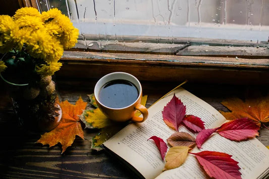AUTUMN HEALTH: Embrace the Season with Shilajit